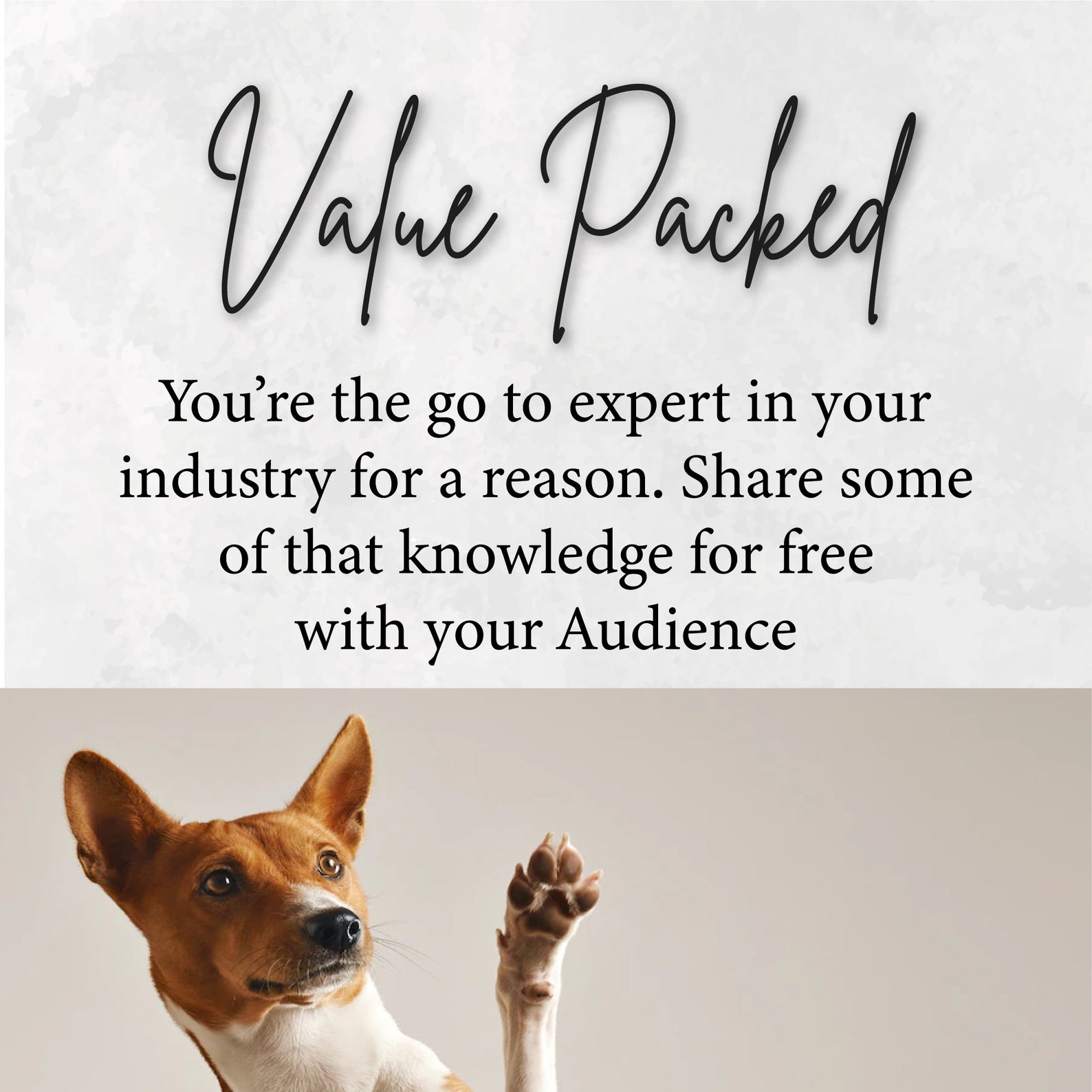 Curated visual reference: Visual Reference: 49 Pet Grooming Instagram Captions Template Pet Store Photo Caption