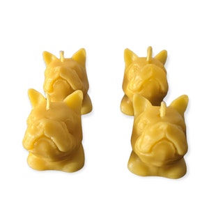 French bulldog gift set