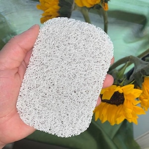 May include: White, textured, oval-shaped dish scrubber made of a fibrous material. The scrubber is held in a hand.