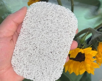 Loofah Soap Holder