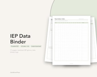 Classeur de données IEP imprimable | Liste de cas en éducation spécialisée, essais d'objectifs, fiches ABC et minutes de service (PDF)