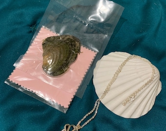 Shuck your own OYSTER, 925 Sterling Clam Pearl Cage Necklace incld. Makes a geat gift.
