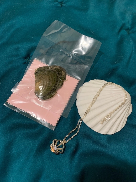 Shuck Your Own OYSTER 925 Sterling Clam 