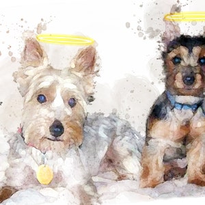 May include: A watercolor painting of two Yorkshire Terriers with halos above their heads. The dogs are named "Oddie" and "Scrappy".