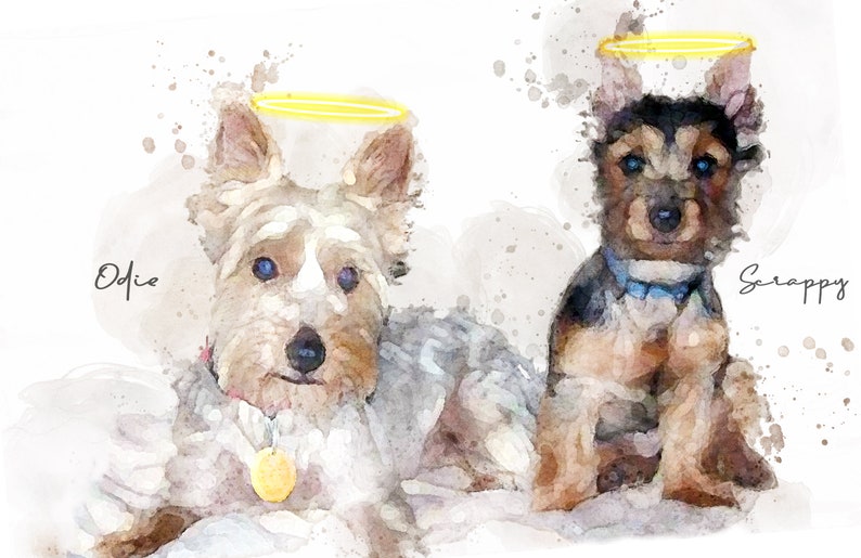 May include: A watercolor painting of two Yorkshire Terriers with halos above their heads. The dogs are named "Oddie" and "Scrappy".
