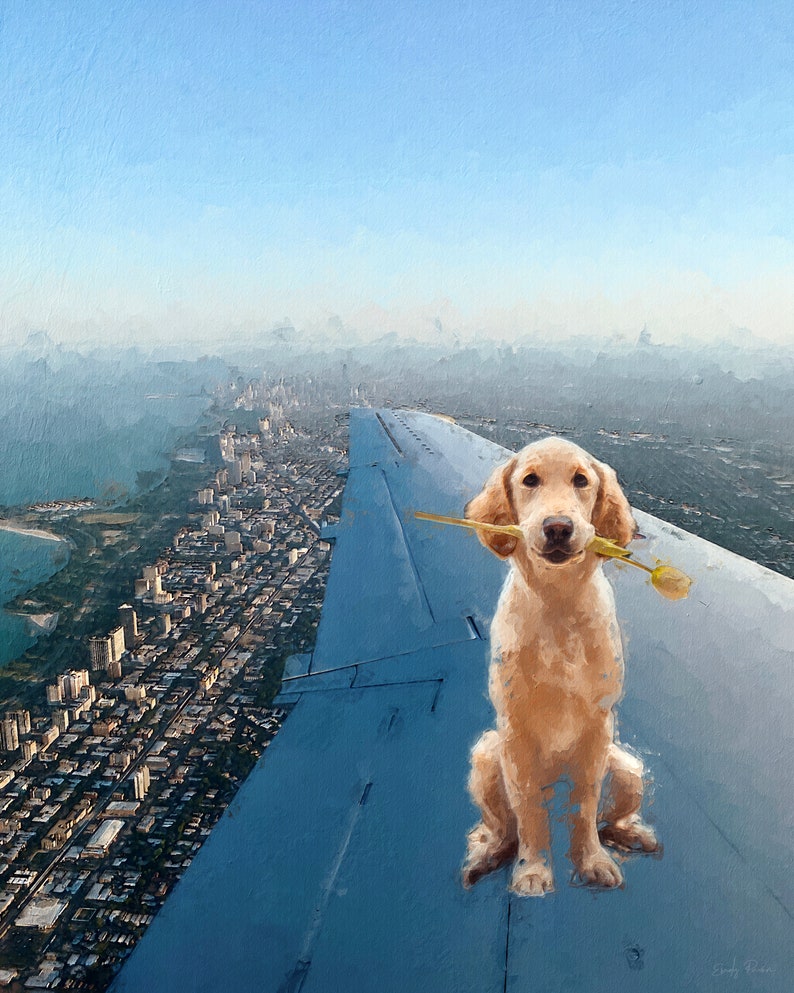 May include: A golden retriever dog sits on the wing of an airplane, looking at the camera with a yellow flower in its mouth. The dog is flying over a city skyline.