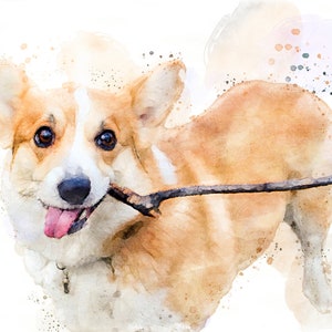 May include: A watercolor painting of a corgi dog with a stick in its mouth. The dog is looking at the camera with its tongue sticking out. The background is a light blue with white and brown splotches.