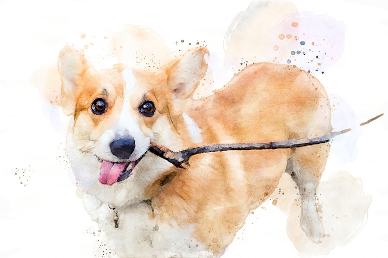 May include: A watercolor painting of a corgi dog with a stick in its mouth. The dog is looking at the camera with its tongue sticking out. The background is a light blue with white and brown splotches.