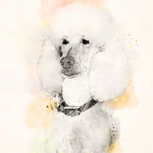 May include: A white poodle with a halo above its head, painted in a watercolor style with soft pink, yellow, and green hues.