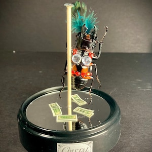 Burlesque Beetles Stripper Bug!