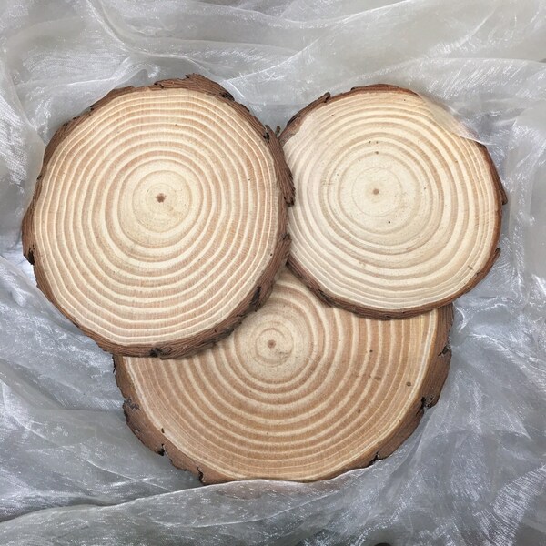 Set of 10 wood slices, wood slices for wedding centerpieces, rustic wedding decor, candle holder, christmas decoration, 7" wood slices