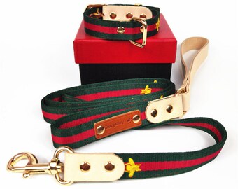 gucci dog collar real