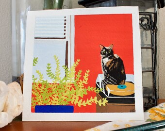 Gato al sol