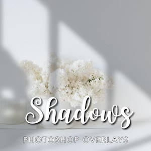 Peut inclure: Des fleurs blanches dans un vase blanc avec une ombre projetée sur une surface blanche. Le texte "Shadows" est écrit en cursive blanche au-dessus du vase. Le texte "PHOTOSHOP OVERLAYS" est écrit en noir sous le vase.