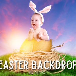 Easter Backdrop, Newborn Backdrop, Easter Background, Newborn Background, Digital Backdrop, Easter Egg Newborn Easter Digital Background