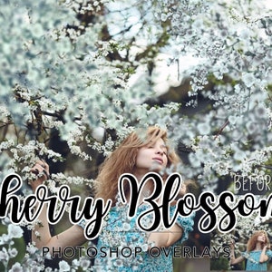Photoshop 用桜の花のオーバーレイ、春の Photoshop、花壇のオーバーレイ、ピンクの花のオーバーレイ、ぼやけた花の枝の桜の木