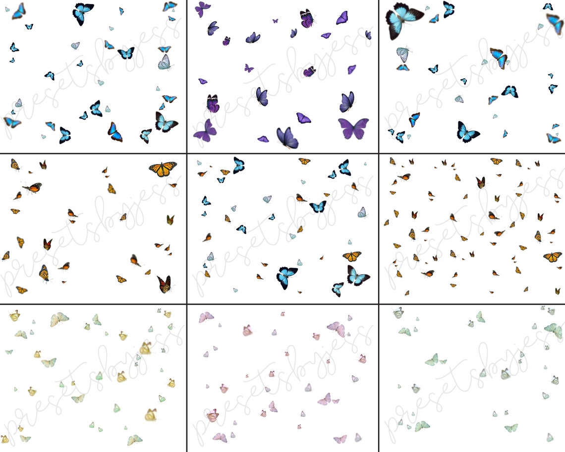 Butterfly Overlay for Photoshop, Field Overlay, Butterfly Clipart ...