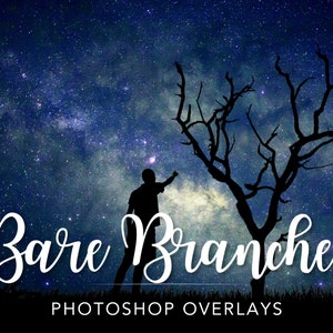25 Bare Branches Photoshop Overlays, Autumn Overlays, Dead Tree Branch, Bare Tree Branch Overlay, Halloween Photo Overlays, Tree Overlay PNG