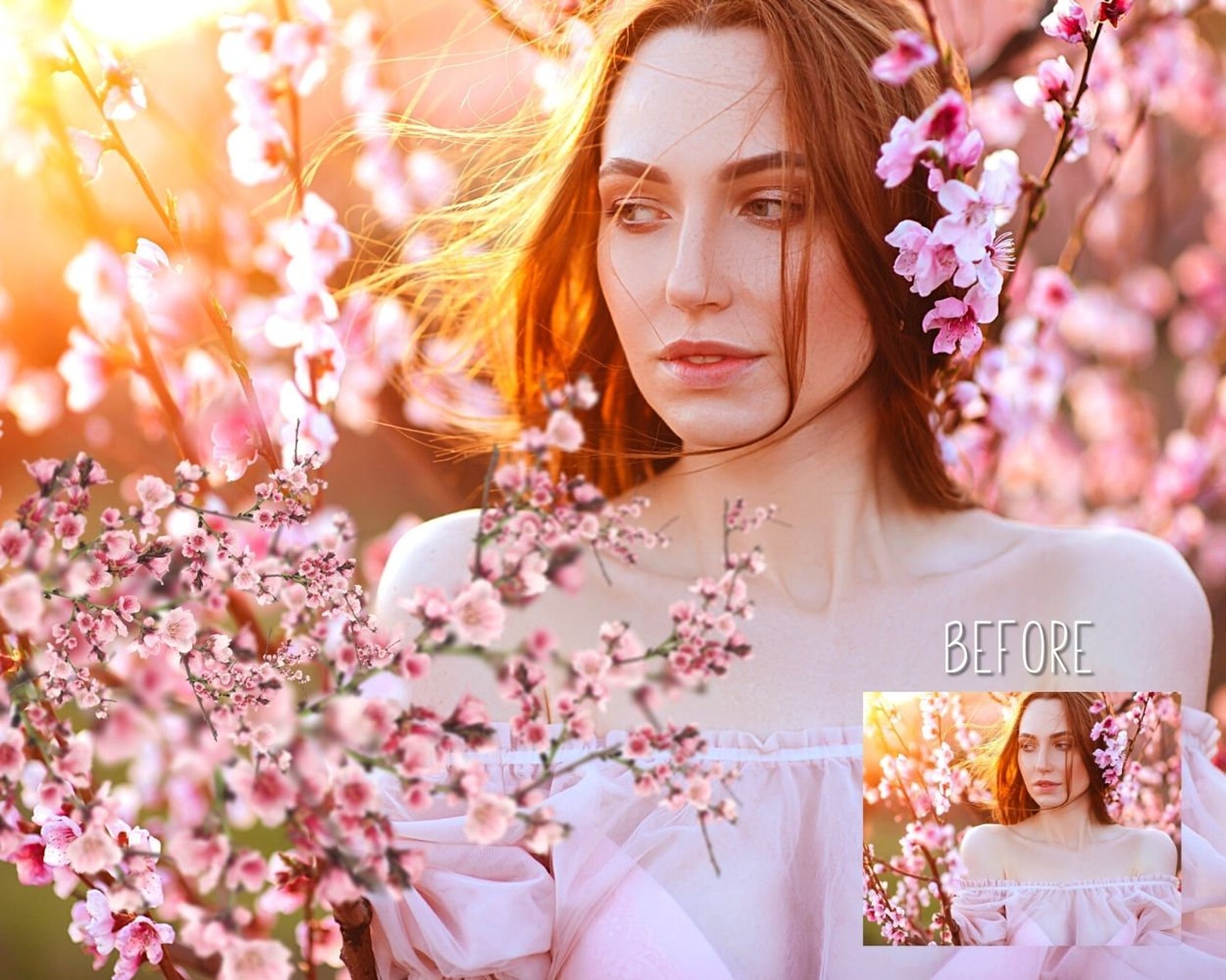 Cherry Blossom Flowers Overlay for Spring Etsy