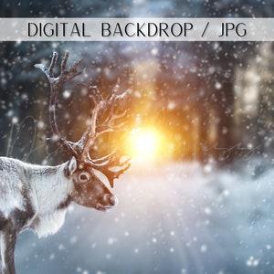 Reindeer Digital Backdrop, Winter Digital Backdrop, Reindeer Backdrop, Christmas Digital Background, Christmas Backdrop, Winter Background