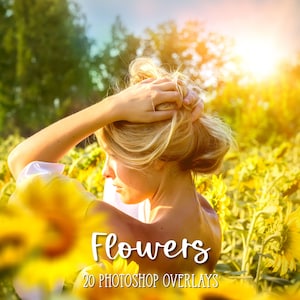 20 Flowers Overlay Bundle / Sunflower Overlay / Blurred Flower Overlay / Flower Frame Overlay / Photo Editing