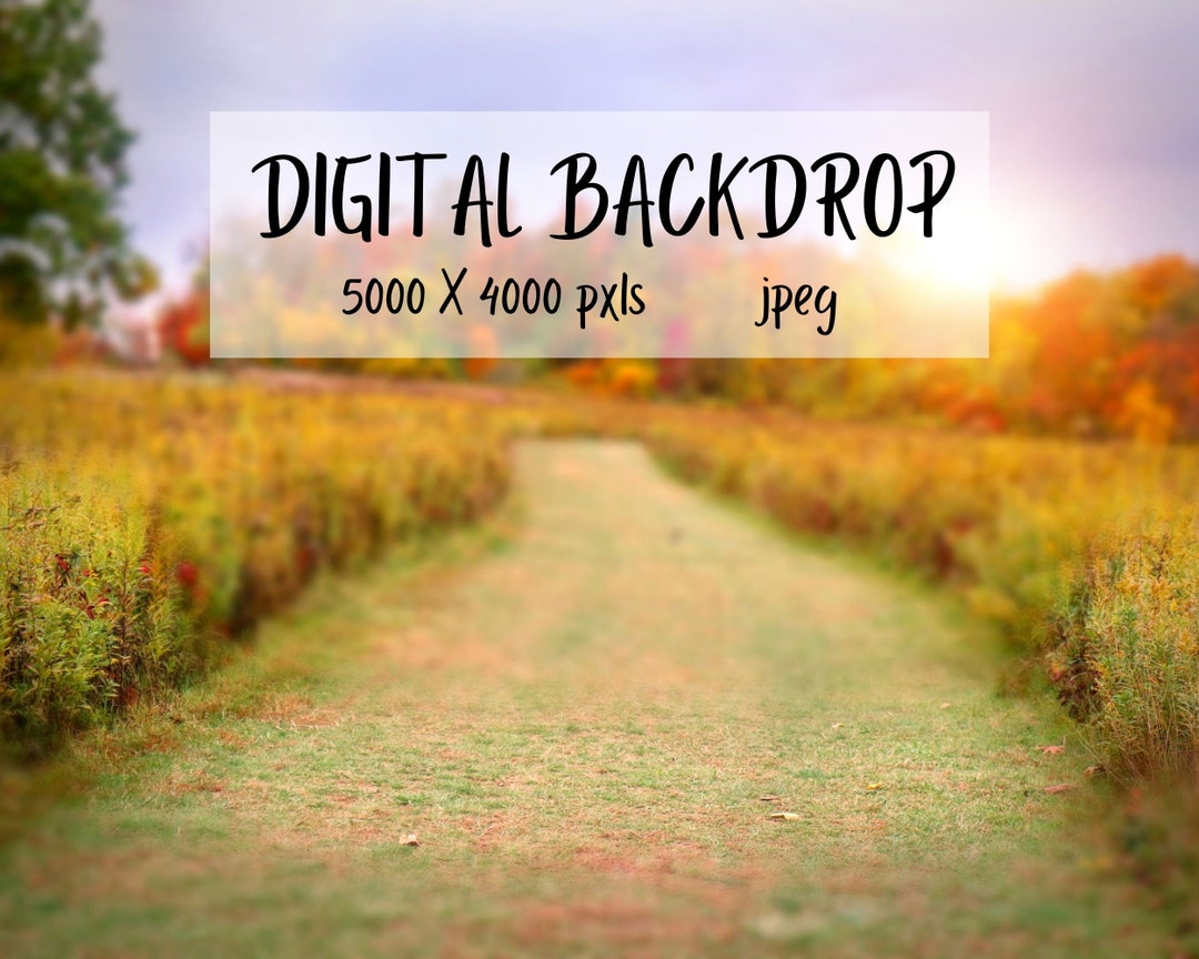 Fall Digital Backdrop / Fall Backdrop / Outdoor Background - Etsy