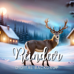 Santa&#39;s Reindeer Digital Backdrop, Winter Digital PS Background, Reindeer Backdrop, Digital Christmas Backdrop, xmas Photo editing Photoshop
