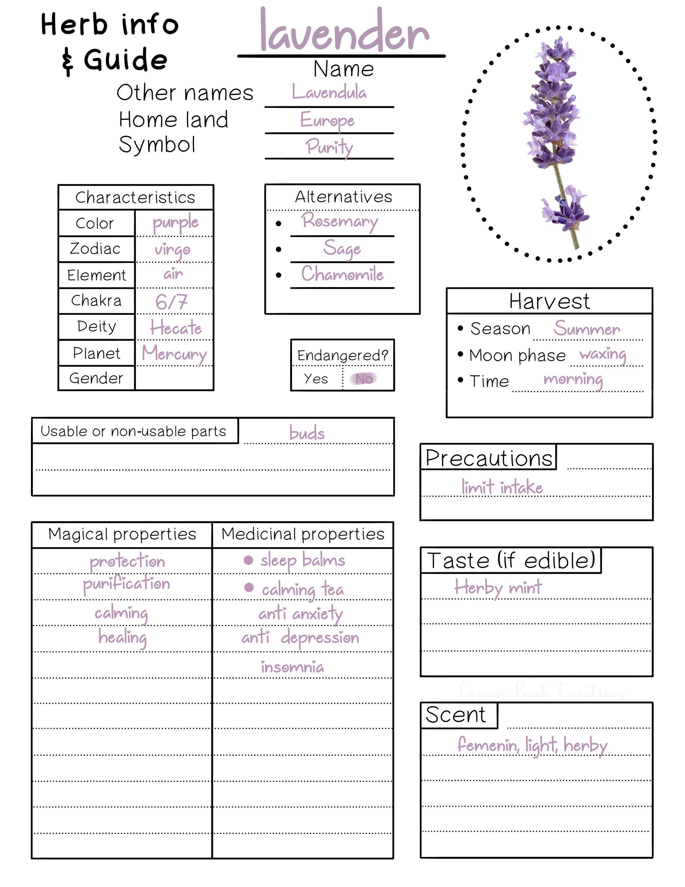 Herb info tracking sheet. Digital download only herbalist Etsy