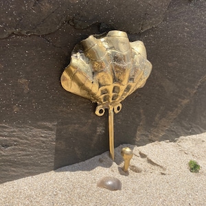 Può includere: Un gancio a forma di conchiglia di mare in metallo dorato con un'estremità appuntita. Il gancio è montato su una parete ed è circondato da sabbia.