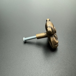 Pode incluir: Um bot&atilde;o de arm&aacute;rio em forma de urso de cor bronze com um parafuso prateado.