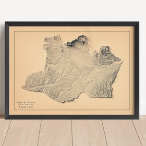 Mapa em relevo minimalista do Amazonas (Brasil) | Arte de parede do Amazonas | Impressão emoldurada | Decoração de parede antiga | Presente com mapa topográfico | NÃO É UM MAPA 3D
