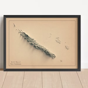 Minimalistische reliëfkaart Nieuw-Caledonië | Muurkunst Nieuw-Caledonië | Ingelijste print | Antieke wanddecoratie | Cadeau topografische kaart | GEEN 3D-KAART