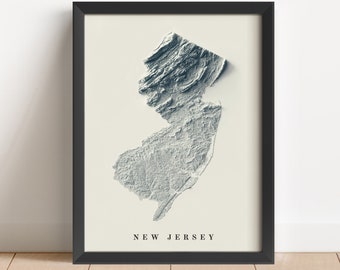 May include: A black framed print of a topographic map of New Jersey. The map is in shades of gray and white and shows the state's terrain.