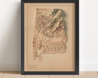 Alabama Minimalist Relief Map | Alabama Wall Art | Framed Alabama Print | Antique Wall Decor | Topographic Map Gift | NOT A 3D MAP