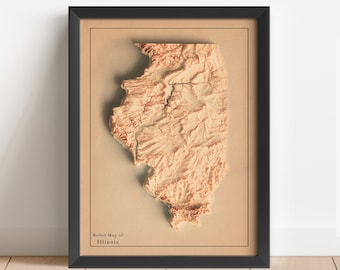 May include: A framed relief map of Illinois in a black frame. The map is beige with brown lines showing the topography of the state. The text "Relief Map of Illinois" is printed in the bottom left corner of the map.