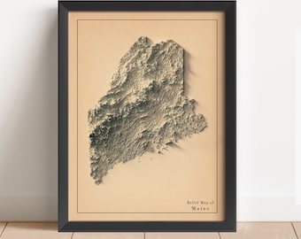 May include: A framed relief map of the state of Maine. The map is in shades of brown and beige, with a textured surface to represent the topography of the state. The frame is black and the map is titled "Relief Map of Maine".