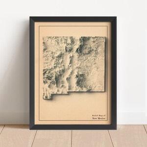New Mexico Minimalistische Reliefkarte | New Mexico Wandkunst | New Mexico gerahmter Druck | Antikes Wanddekor | Topographische Karte Geschenk | KEINE 3D-KARTE