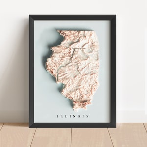 Carte en relief minimaliste de l'Illinois | Art mural de l'Illinois | Impression encadrée de l'Illinois | Décoration murale antique | Carte topographique en cadeau | PAS UNE CARTE 3D