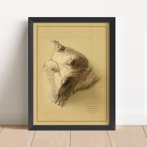 Vintage reliëfkaart Hawaï-eiland, gebaseerd op origineel uit 1886 | Hawaïaanse muurkunst en woondecoratie | Ingelijste print | Cadeau topografische kaart | GEEN 3D-KAART
