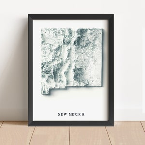 New Mexico Minimalistische Reliefkarte | New Mexico Wandkunst | New Mexico gerahmter Druck | Antikes Wanddekor | Topographische Karte Geschenk | KEINE 3D-KARTE