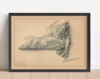 ニューヨーク地図、ニューヨーク州2D立体地図、ニューヨークミニマ