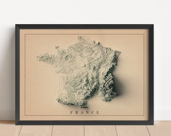 France Minimalist Relief Map | France Wall Art | France Framed Print | Antique Wall Decor | Topographic Map Gift | NOT A 3D MAP