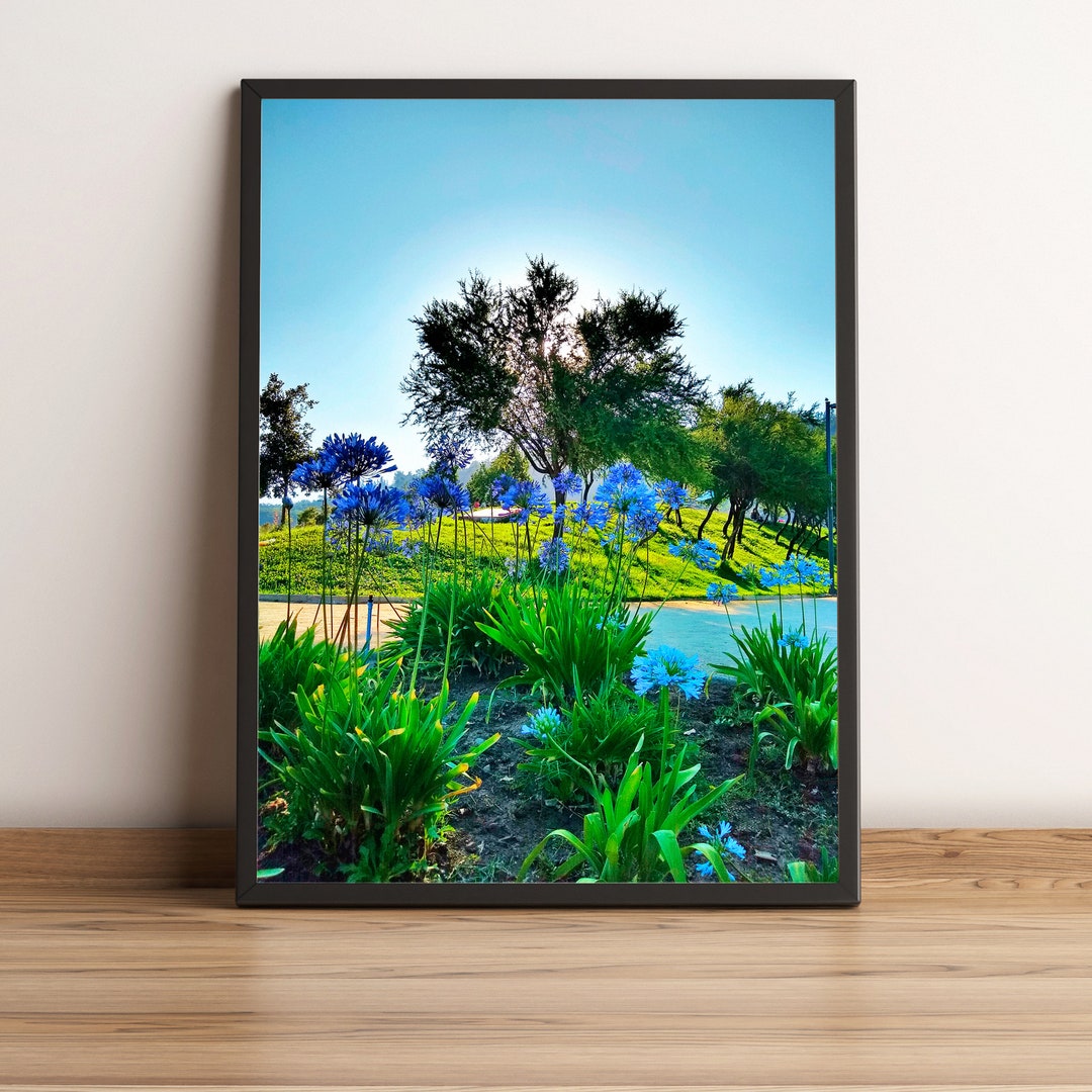 Flowers at Sunset Flowers Wall Art Park in Santiago Chile Etsy