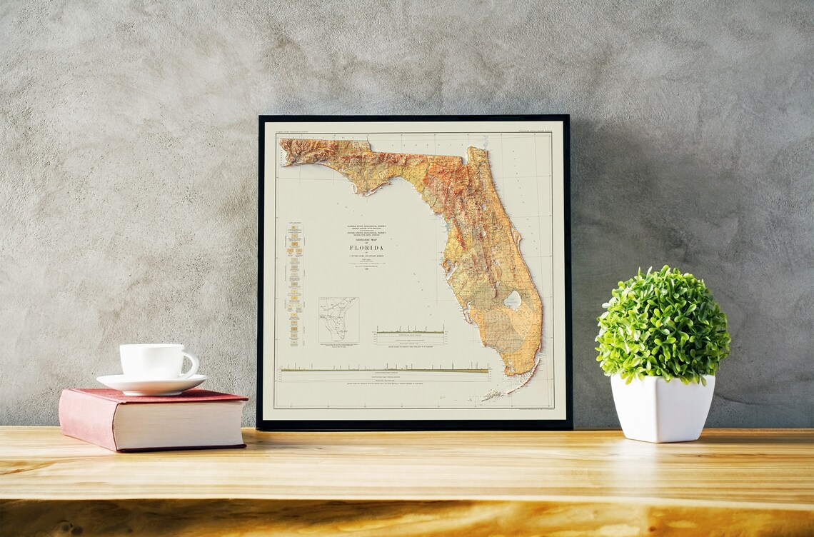 Map of Florida Relief Map of Florida - Il 1140xN.3576594377 Ke1y 