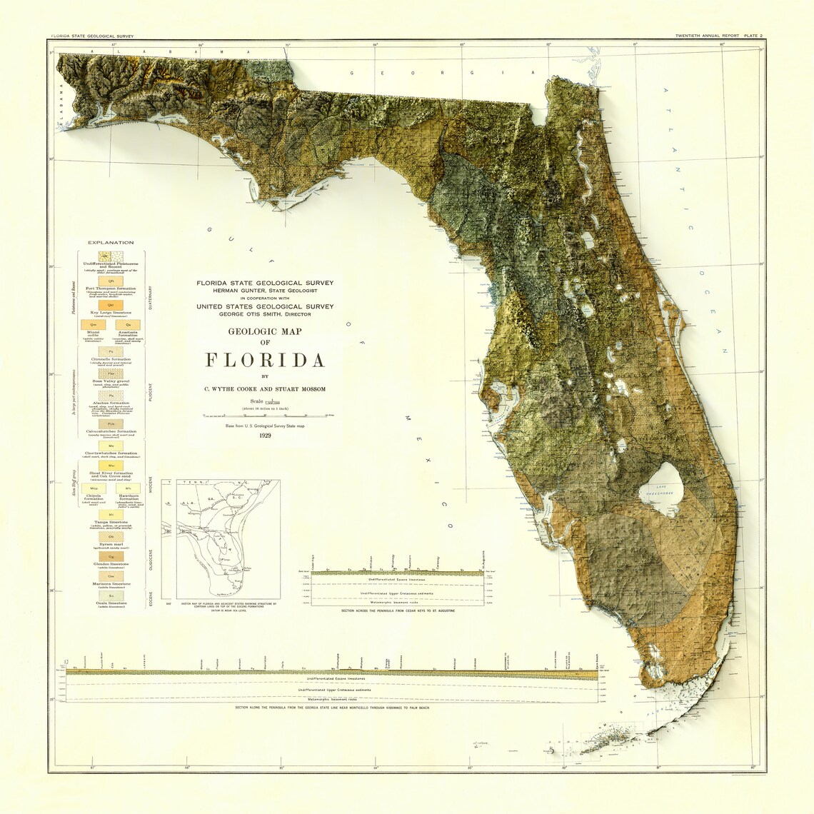 Map of Florida Relief Map of Florida - Il 1140xN.3090885268 8ytc