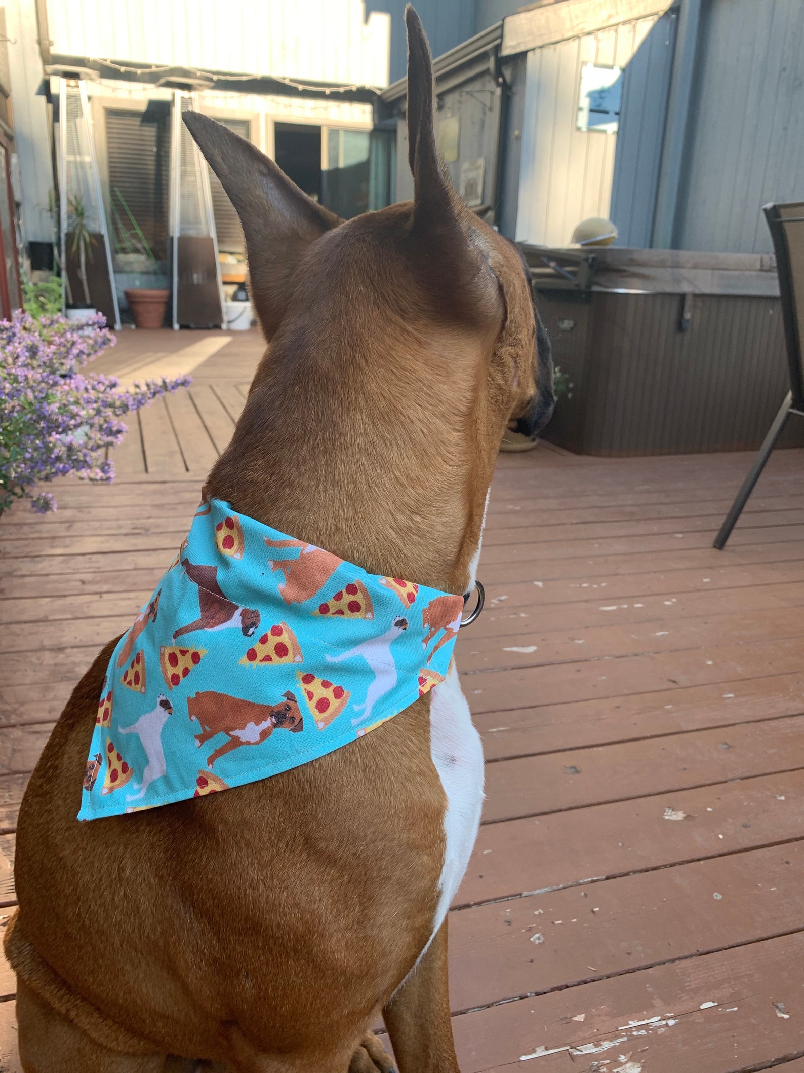 Hunde bandana / Boxer Hund und Pizza / Haar Scrunchies Etsy