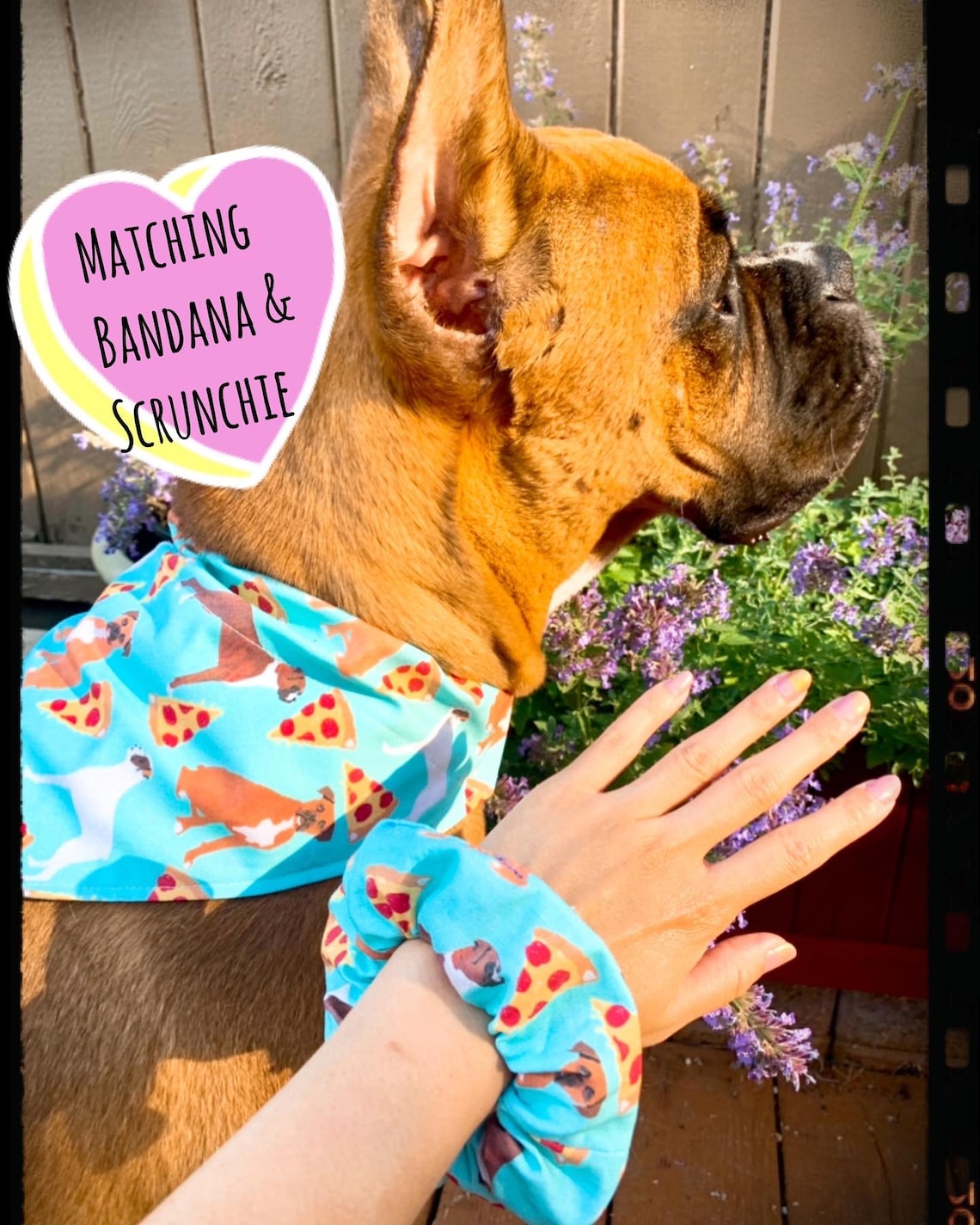 Hunde bandana / Boxer Hund und Pizza / Haar Scrunchies Etsy