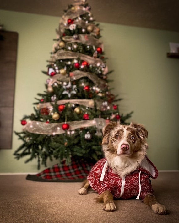 Dog & Owner Ugly Xmas Sweaters