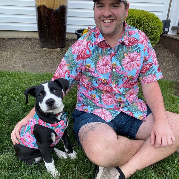 Matching Dog and Owner Shirts Etsy