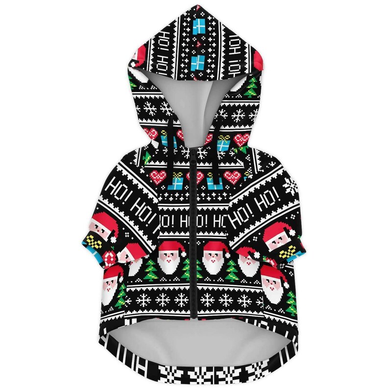 dog and owner christmas sweaters